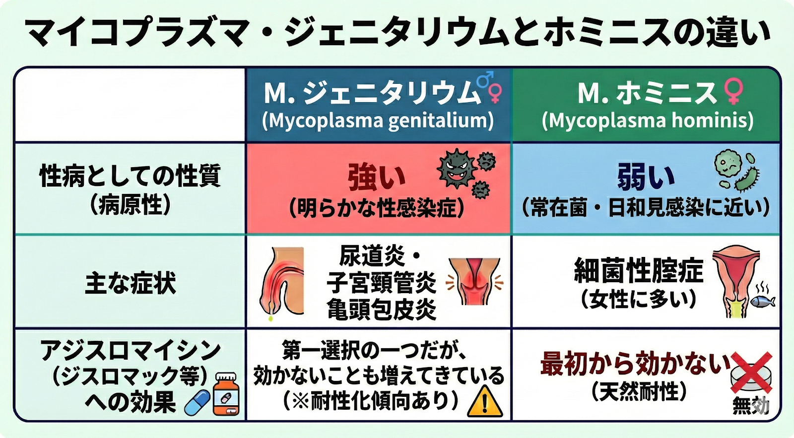マイコプラズマに関する説明画像