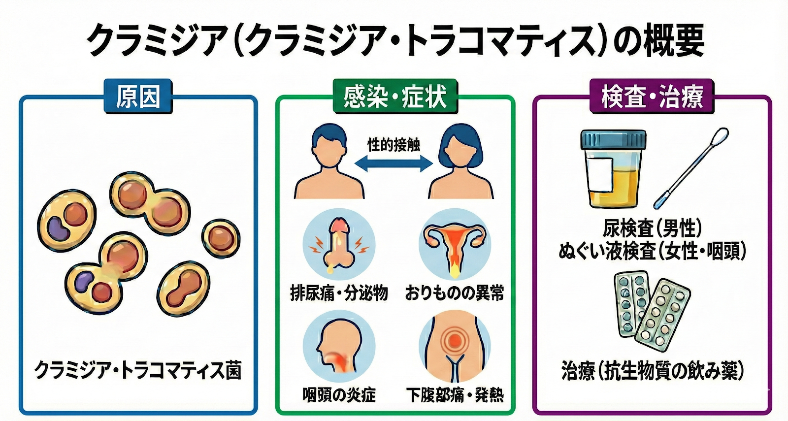 クラミジア感染症イメージ画像
